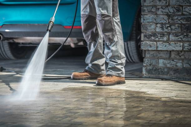Best Spring Cleaning  in Lake Clarke Shores, FL