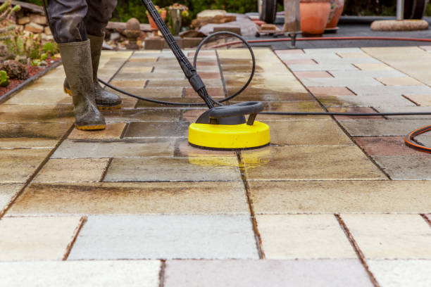 Best Animal Enclosure Cleaning  in Lake Clarke Shores, FL